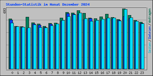Stunden-Statistik im Monat Dezember 2024