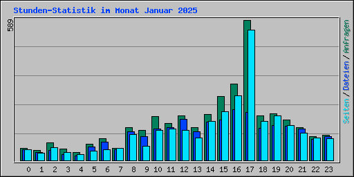 Stunden-Statistik im Monat Januar 2025