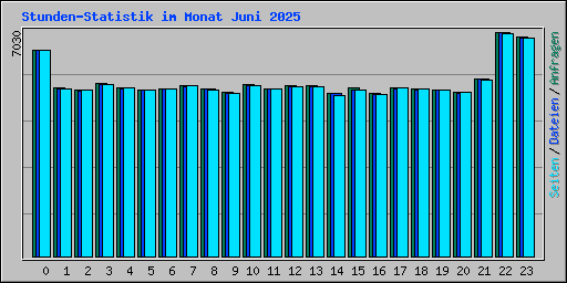 Stunden-Statistik im Monat Juni 2025