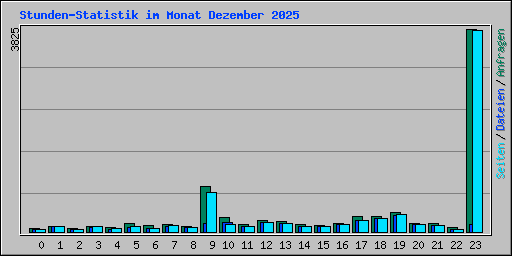 Stunden-Statistik im Monat Dezember 2025