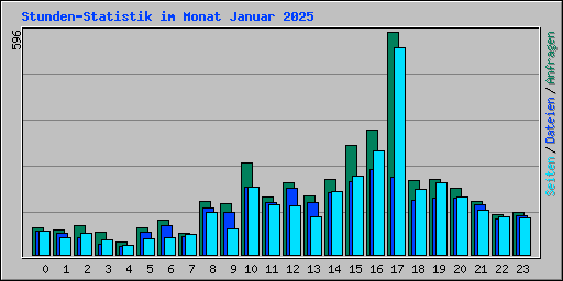 Stunden-Statistik im Monat Januar 2025